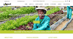 Desktop Screenshot of pedi.org.za
